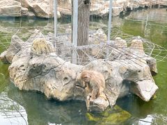 -红山森林动物园