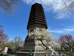 -玲珑塔公园