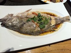 清蒸鲈鱼-小城粥道·海胆鲜虾粥(解放广场店)