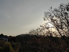 -南通鹏欣花园国宾酒店