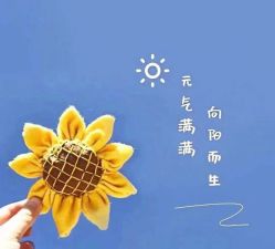 -香薇妮丝女子减肥院