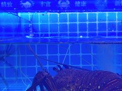 -龙图阁海鲜饭店