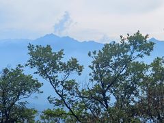 -沣峪口