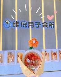 -维倪月子会所(独栋庭院·南海店)