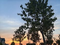 -大连海昌东方水城