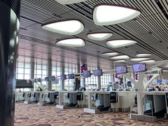 -樟宜机场免税店