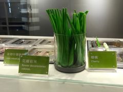 -Salud撒露欧洲冻酸奶(蓝色港湾店)