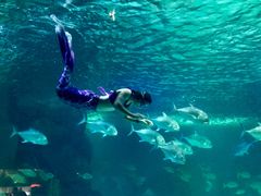 -常州海昌海洋探索馆