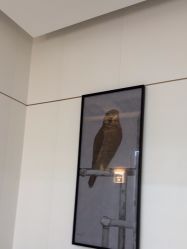 -AIST爱思特医疗美容医院