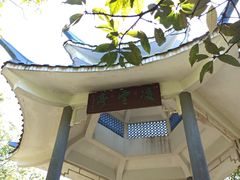 -梧桐山风景名胜区