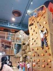 -卡通尼·Safari非洲探索乐园·生日会(金桥国际商业广场店)