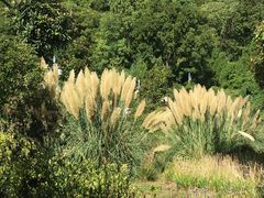 -贵阳市花溪国家城市湿地公园