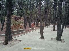 -林海公园