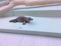 -长江文明馆