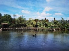 -溱湖国家湿地公园