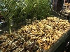 -唐拉雅秀酒店-西锦汇空中BBQ·思创餐厅