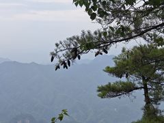 -秦岭天竺山生态文化旅游景区