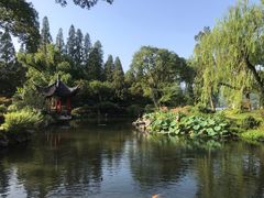 -杭州西湖柳莺里酒店·闻莺厅