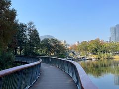 -四海公园(南山区)