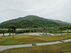 -风云岭森林公园