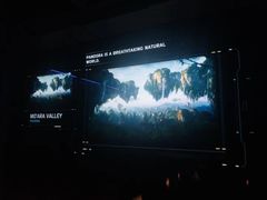 -奥兰多迪士尼动物王国乐园