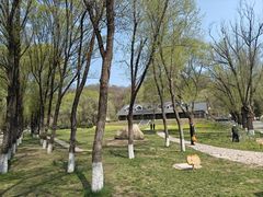 -高尔山公园