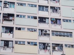 -彩虹村