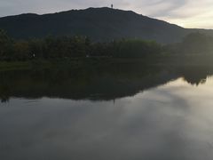 -亚龙湾国际玫瑰谷