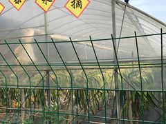 -军山湖云水间生态农业旅游景区