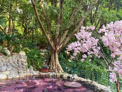 -湖泉半山温泉(湖泉生态园)