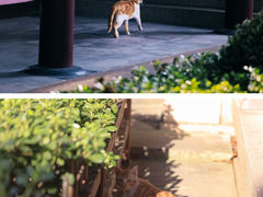 -寒山寺