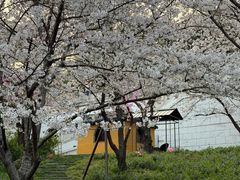 -苏州上方山国家森林公园