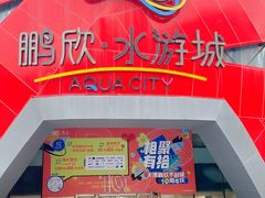 -鹏欣水游城