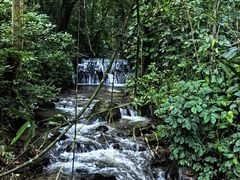 -莫里热带雨林景区