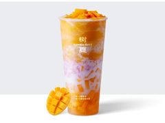-万象汇