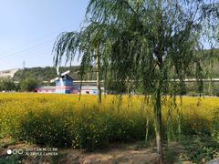 -大连铭湖国际观光牧场
