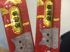 -飞行喵MR PILOT|猫舍·猫咖(静安大融城店)