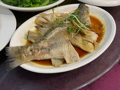 -天天海鲜城(建设路店)