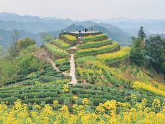 -石潭村