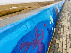 -南汇嘴观海公园