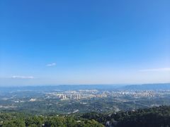 -大金鹰园