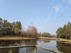 -长广溪湿地公园