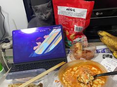 -中农国际动物医院24小时·猫科·骨科·急重症中心