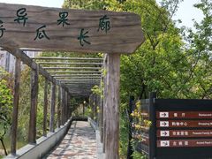 -南汇桃花村
