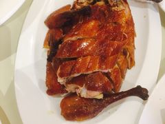 脆皮小乳鸭-圆苑(上海广场店)