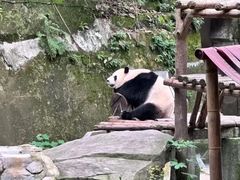 -重庆动物园·东二门售票处
