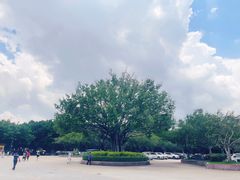 -广州莲花山旅游区