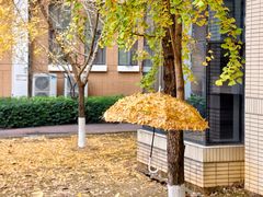 -福州大学(旗山校区)