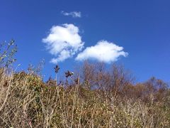 -白草畔自然风景区