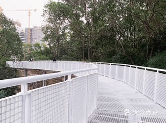 看过了红色的桥，来看看白色的桥吧，宝安的这个公园不亚